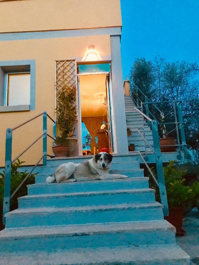 Le Palombelle Casa Vacanze 오트란토 외부 사진